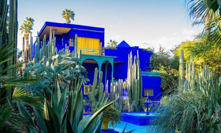 مراكش..معارض استثنائية احتفالا بالذكرى المائوية لحديقة ماجوريل مراكش..معارض استثنائية احتفالا بالذكرى المائوية لحديقة ماجوريل