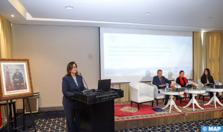 السيدة الدريوش..اتفاقية قانون البحار "bbnj".. خطوة كبيرة لحفظ الموارد البحرية