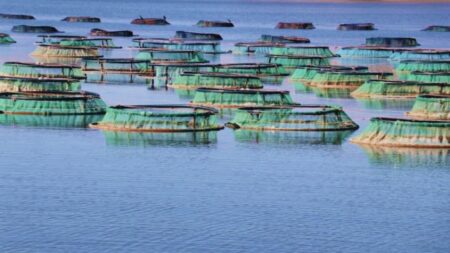مجلة إيطالية تُشيد بالمغرب في مجال تربية الأحياء المائية