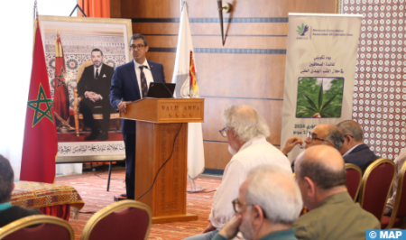الدار البيضاء..ندوة علمية تستكشف آفاق تطوير الأدوية المشتقة من القنب الهندي