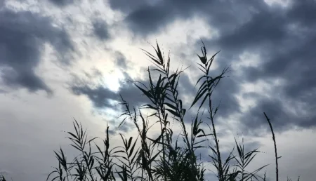احوال الطقس اليوم الجمعة بالمغرب