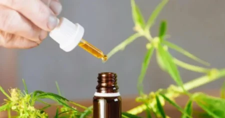 اتفاقية تعاون بين الوكالة الوطنية للقنب الهندي وجامعة محمد السادس لتطوير الأبحاث الطبية