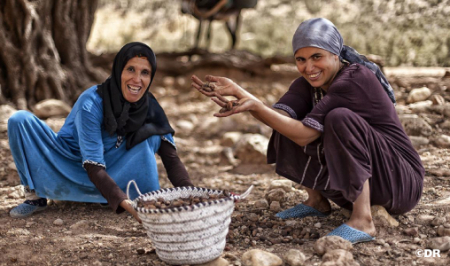 المغرب يحتفي باليوم العالمي للمرأة القروية ويبرز صعود ريادة الأعمال النسائية المغرب يحتفي باليوم العالمي للمرأة القروية ويبرز صعود ريادة الأعمال النسائية