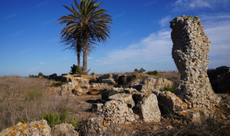 تاموسيدا الأثرية.. نافذة على تاريخ المغرب وحضاراته المتعاقبة تاموسيدا الأثرية.. نافذة على تاريخ المغرب وحضاراته المتعاقبة