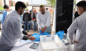 سمك مجمد بثمن معقول يصل إلى سلا الجديدة