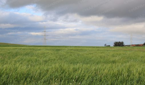 برد وزخات رعدية وثلوج بالأطلس برد وزخات رعدية وثلوج بالأطلس