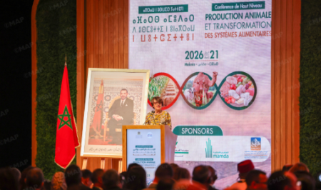 الفلاحة المغربية في واجهة الاهتمام الفرنسي