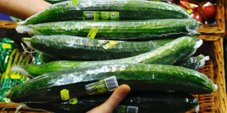 المغرب يتصدر واردات الخيار الإسبانية المغرب يتصدر واردات الخيار الإسبانية