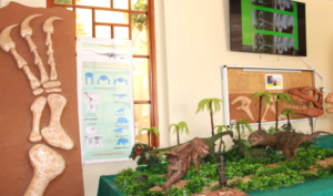 معرض بوجدة يبرز تراث جهة الشرق