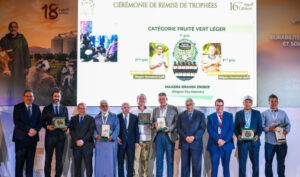 تتويج 12 زيت زيتون بكر ممتاز بمكناس