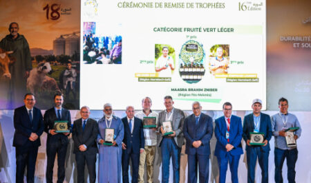 تتويج 12 زيت زيتون بكر ممتاز بمكناس