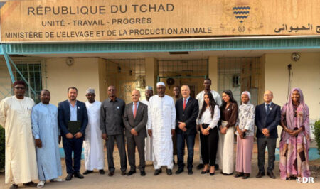 شراكة مغربية-تشادية لتعزيز الصحة الحيوانية