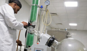 قفزة إنتاج القنب القانوني بشفشاون