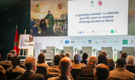 الوراثة الحيوانية رافعة للسيادة الغذائية بالمغرب