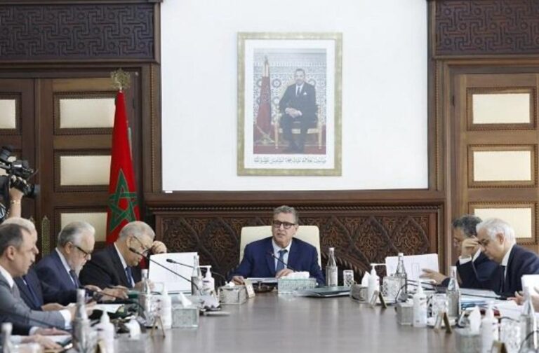 دعم عمومي جديد للشباب في انتخابات مجلس النواب