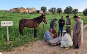 ركلة بغل مفاجئة تنهي حياة رجل بوزان