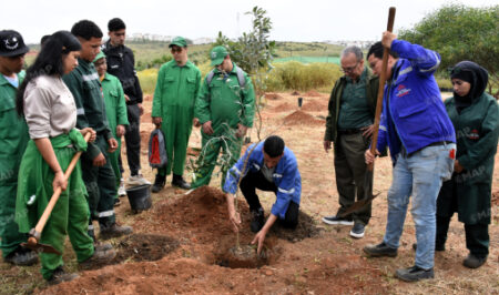 شراكة بسلا لتعزيز المهارات الخضراء والتشجير