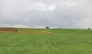 اضطرابات جوية بالمملكة