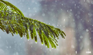 (نشرة إنذارية)زخات رعدية قوية بعدد من المناطق