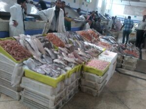 الدريوش..توسيع عرض السمك وضبط الأسعار