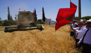 مرشوش: محطة تجريبية تعزز الابتكار الزراعي وترسخ السيادة البذرية بالمغرب