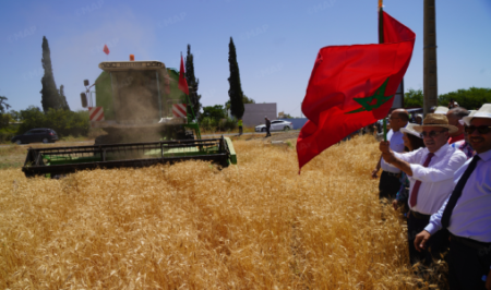 مرشوش: محطة تجريبية تعزز الابتكار الزراعي وترسخ السيادة البذرية بالمغرب