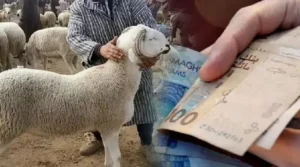 غلاء الأضاحي بأكادير يثير استياء المواطنين
