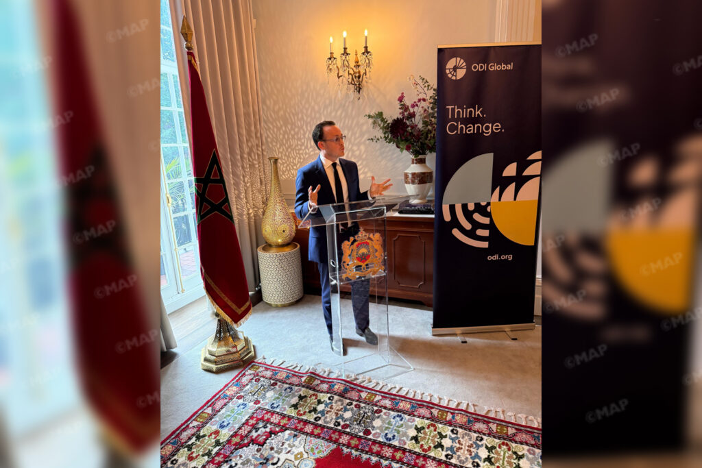 المغرب رائد في بناء السلام