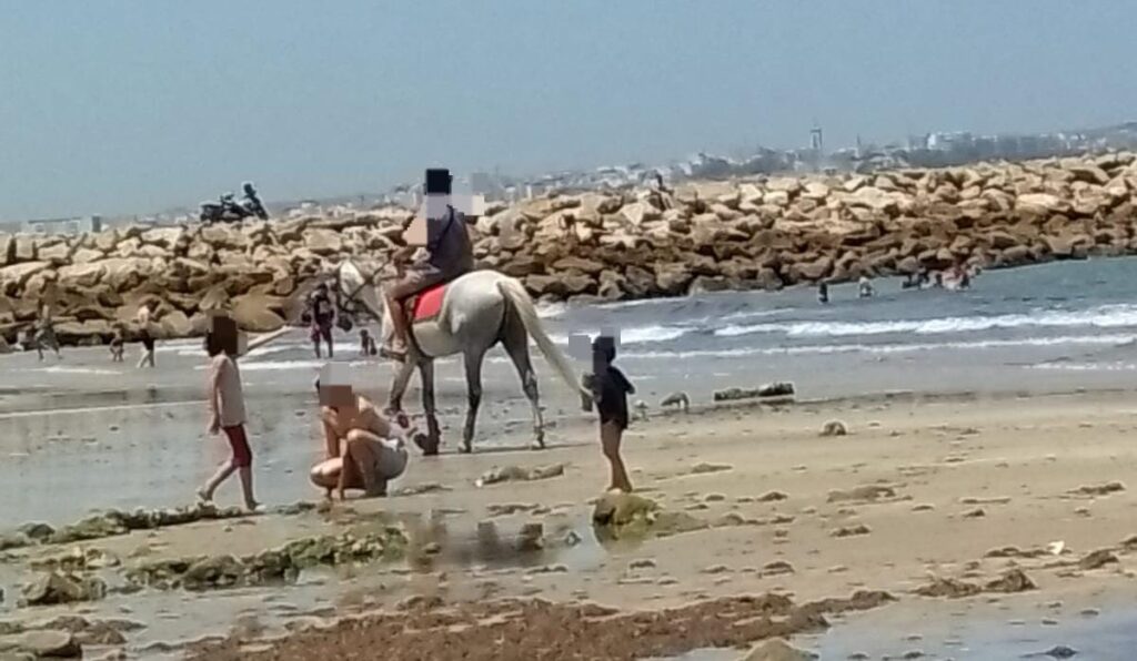 طنجة..فضيحة شاطئ "الغندوري"..خيول تهدد المصطافين ومراحيض تحولت إلى مخازن سرية!
