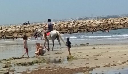 طنجة..فضيحة شاطئ “الغندوري”..خيول تهدد المصطافين ومراحيض تحولت إلى مخازن سرية! طنجة..فضيحة شاطئ "الغندوري"..خيول تهدد المصطافين ومراحيض تحولت إلى مخازن سرية!