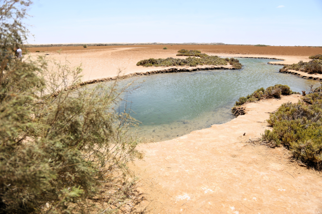 سبخة إمليلي.. سحر الصحراء
