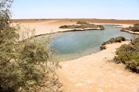سبخة إمليلي.. سحر الصحراء