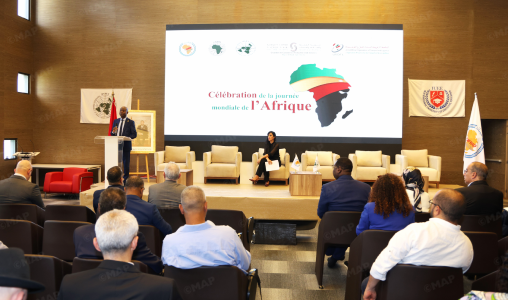 الرؤية الملكية لتنمية إفريقيا الرؤية الملكية لتنمية إفريقيا