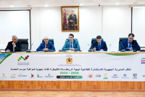 14 مليون قنطار من الحبوب بجهة الرباط