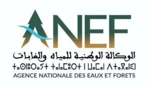 الوكالة.. موقع سيدي مصباح ليس ضمن الملك الغابوي