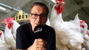 كيف انهار توازن سوق الدواجن بالمغرب..أعبود يوضح