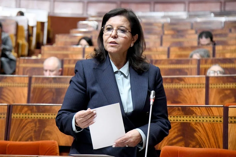 الحكومة تطور مبادرة الحوت بثمن معقول الحكومة تطور مبادرة الحوت بثمن معقول