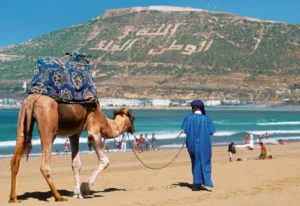 السياحة المغربية تواصل النمو