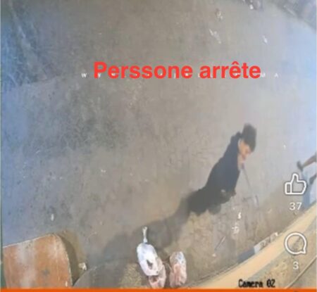 طنجة..توقيف "مشرمل" ظهر في فيديو يهدد الساكنة​