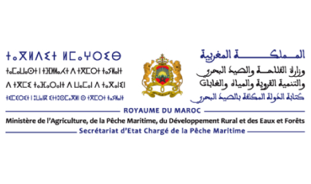 244 مشروعا لتربية الأحياء المائية بالمغرب