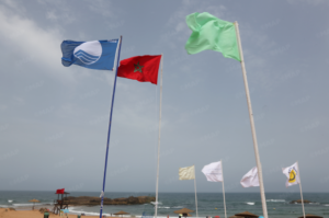 اللواء الأزرق يرفرف بالوليدية