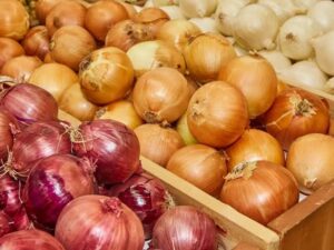 ارتفاع قياسي لواردات البصل
