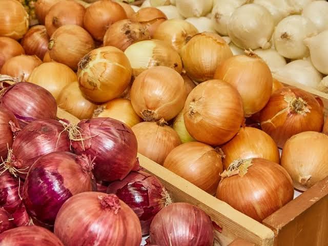 ارتفاع قياسي لواردات البصل ارتفاع قياسي لواردات البصل