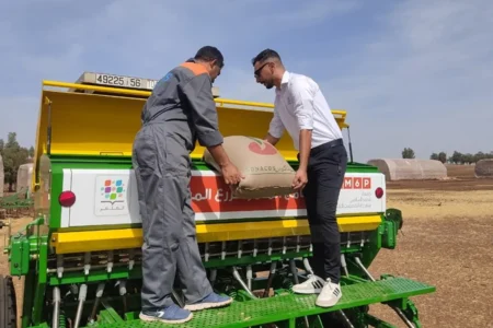 «المثمر» يرفع مردودية الحبوب والقطاني «المثمر» يرفع مردودية الحبوب والقطاني