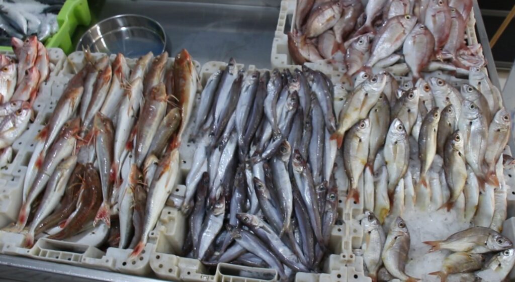 طنجة تحتضن سوق للسمك “roaya Fish Market” بمعايير جودة عالية
