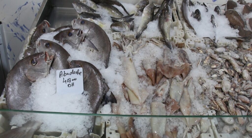 طنجة تحتضن سوق للسمك “roaya Fish Market” بمعايير جودة عالية