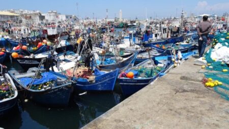 ارتفاع مفرغات الصيد بميناء طنجة بـ92 في المائة ارتفاع مفرغات الصيد بميناء طنجة بـ92 في المائة