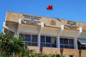 دعم إضافي لمهنيي النقل الطرقي