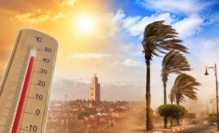 طقس حار ورياح قوية بعدد من مناطق المملكة