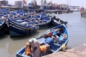 ميناء طرفاية يسجل قفزة في كميات الصيد
